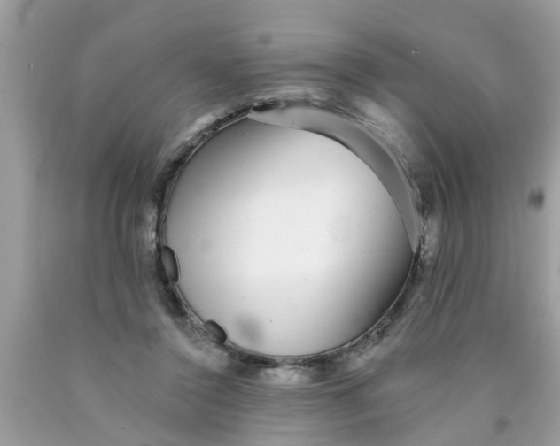 X0000089880356200707262214