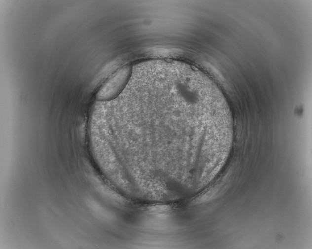 X0000089880357200707262214