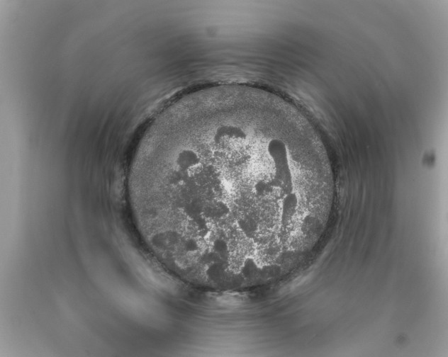 X0000089880359200707262214