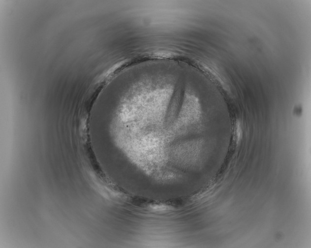 X0000089880360200707262214