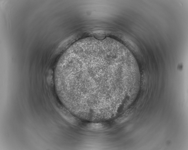 X0000089880361200707262214