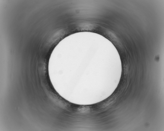 X0000089880362200707262214