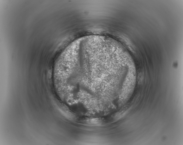 X0000089880365200707262214