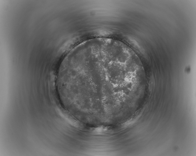 X0000089880366200707262214