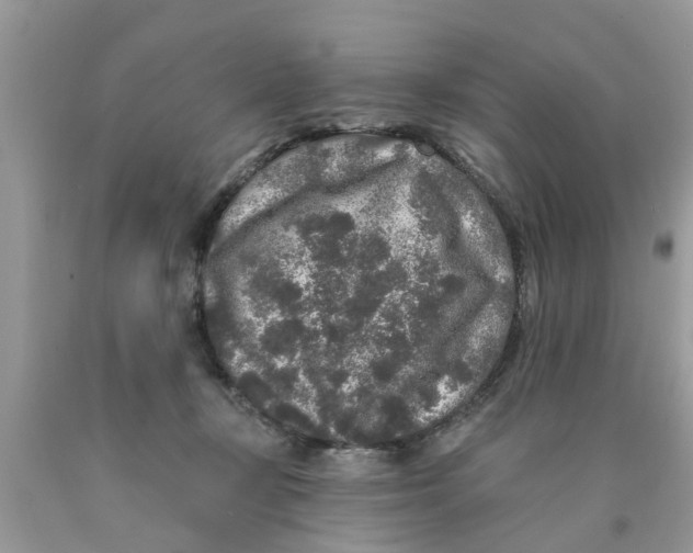 X0000089880367200707262214