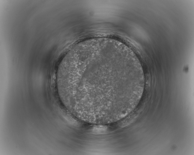 X0000089880369200707262214