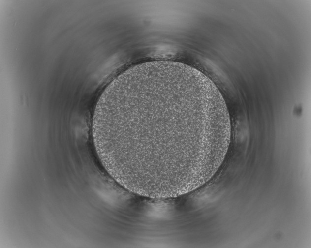 X0000089880370200707262214