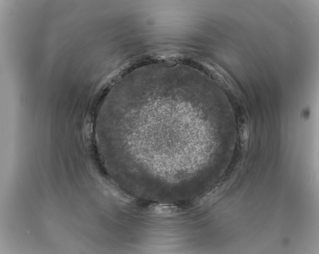 X0000089880372200707262214