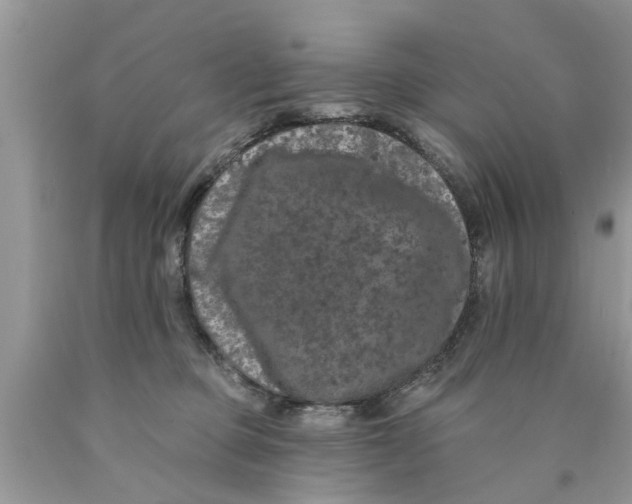 X0000089880373200707262214