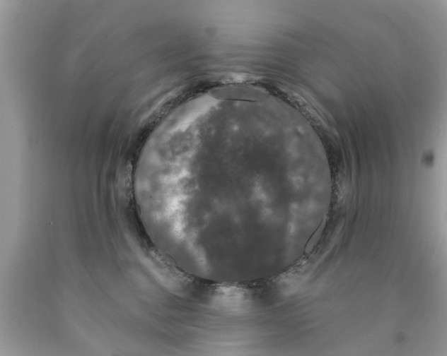 X0000089880376200707262214