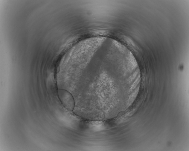 X0000089880377200707262214