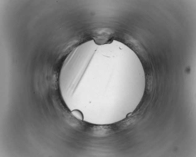 X0000089880378200707262214