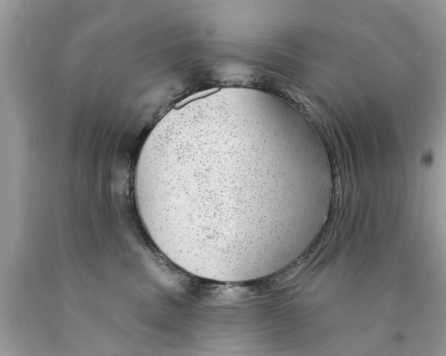 X0000089880379200707262214