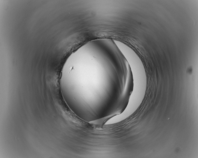 X0000089880380200707262214