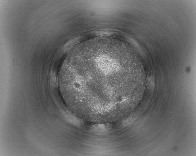 X0000089880381200707262214