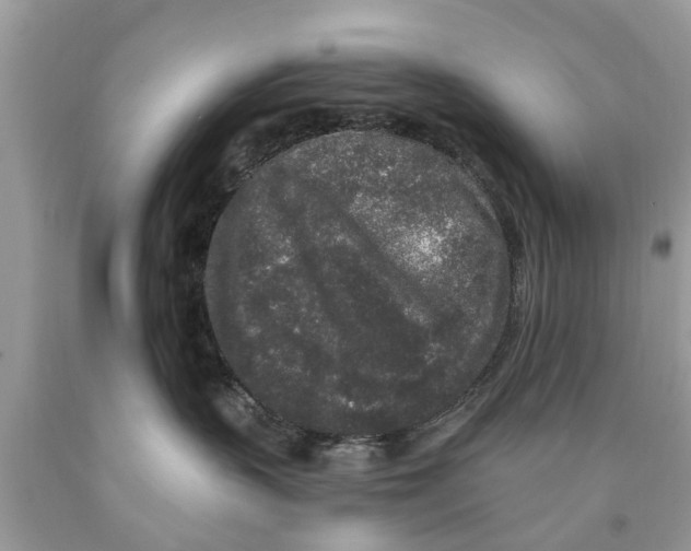 X0000089880383200707262214