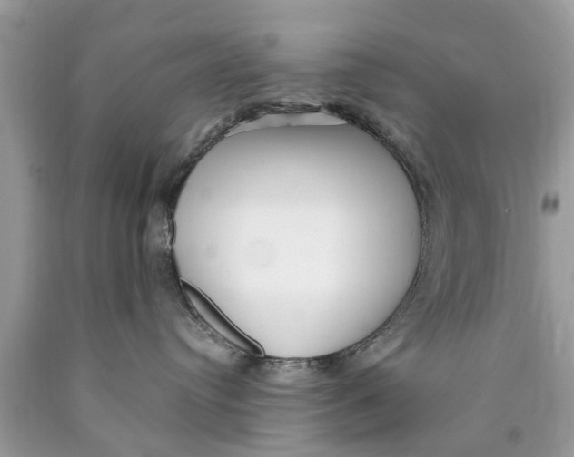 X0000089880384200707262214