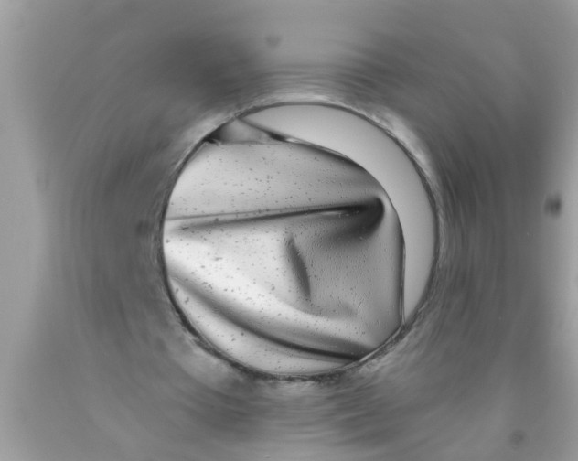 X0000089880385200707262214