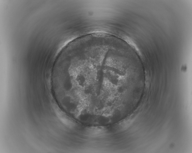 X0000089880386200707262214