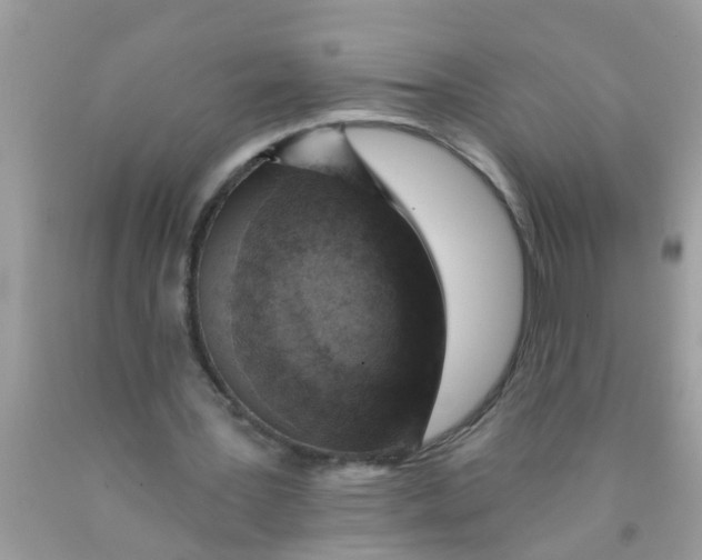 X0000089880387200707262214