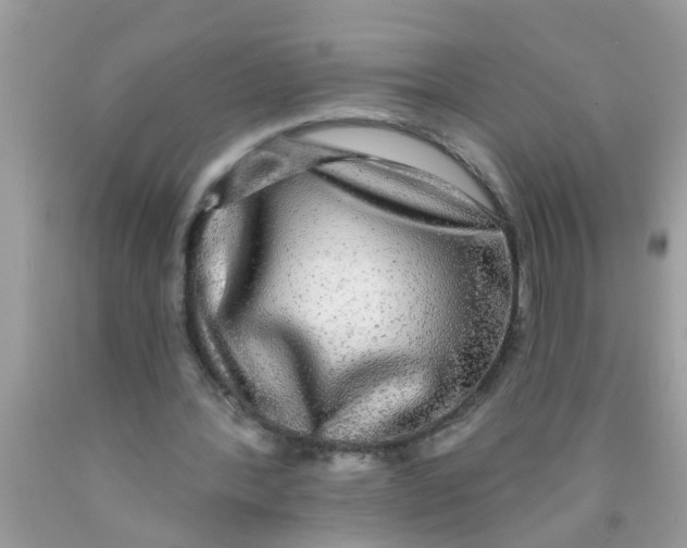 X0000089880388200707262214