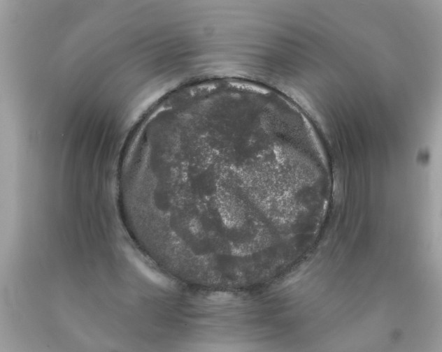 X0000089880390200707262214