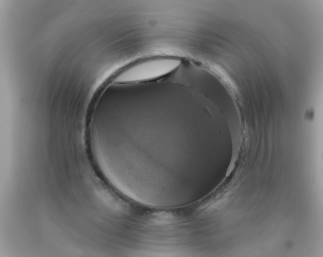 X0000089880391200707262214