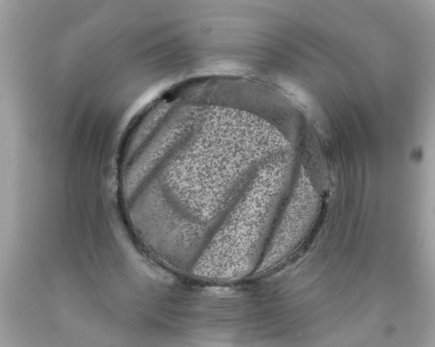 X0000089880392200707262214