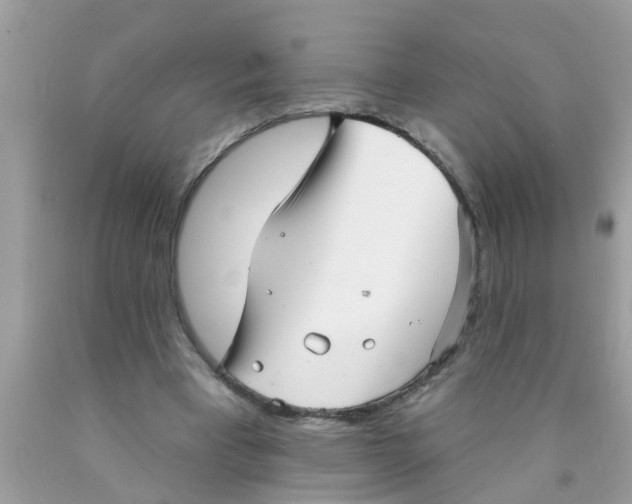 X0000089880393200707262214