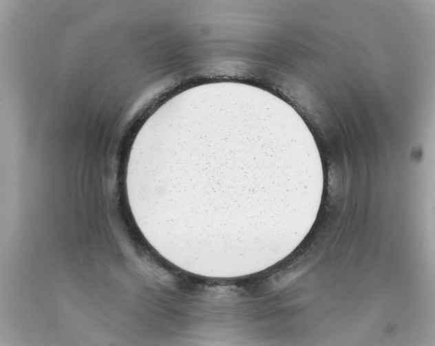 X0000089880396200707262214