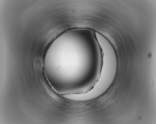 X0000089880397200707262214