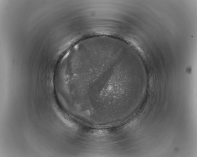 X0000089880398200707262214