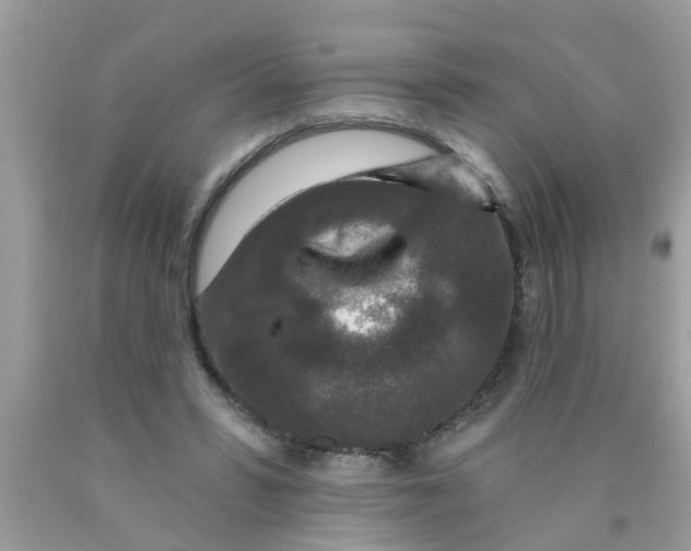 X0000089880399200707262214