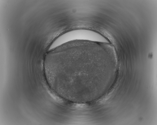 X0000089880401200707262214