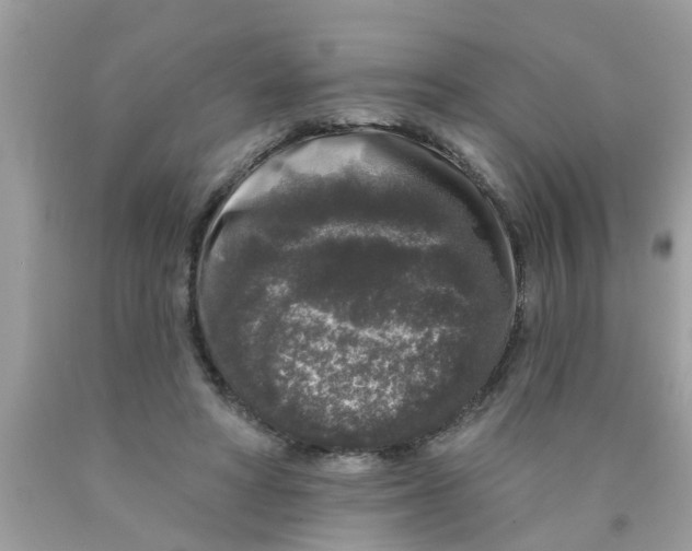 X0000089880402200707262214