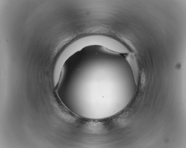 X0000089880403200707262214