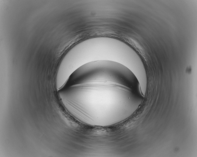 X0000089880405200707262214