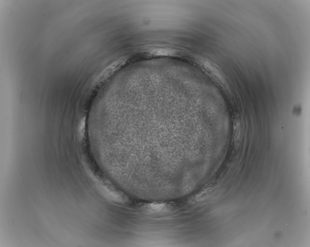 X0000089880406200707262214