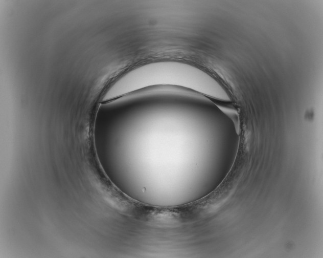 X0000089880407200707262213