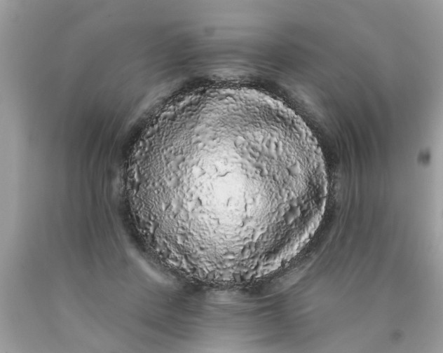 X0000089880408200707262213