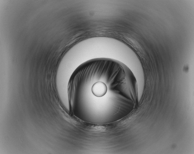 X0000089880409200707262213