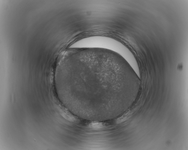 X0000089880413200707262213