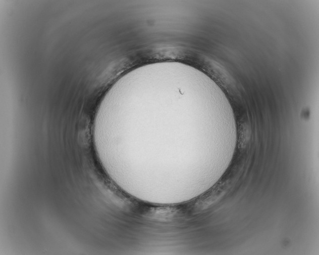 X0000089880414200707262213