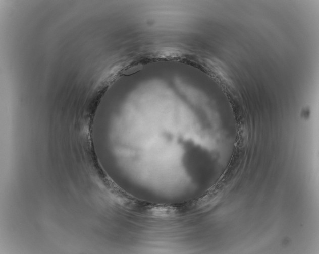 X0000089880415200707262213