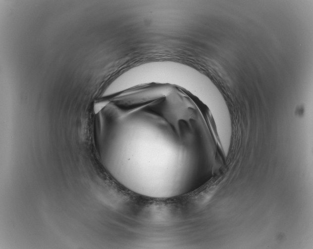 X0000089880416200707262213