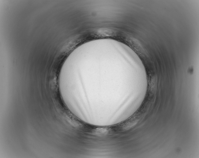 X0000089880418200707262213