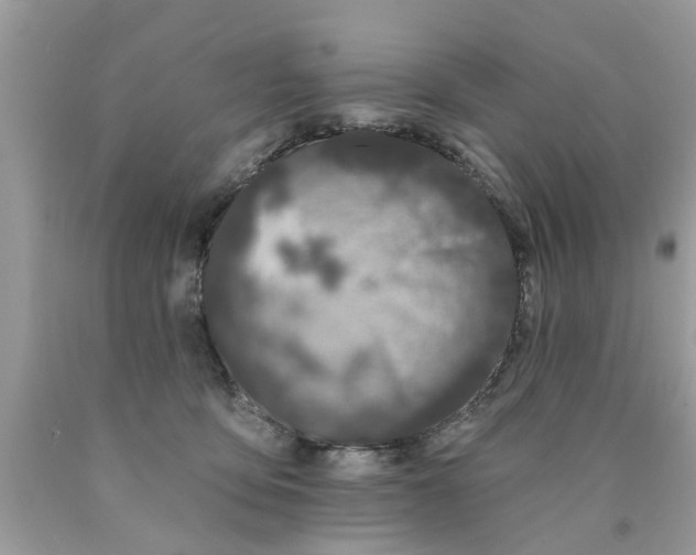 X0000089880419200707262213