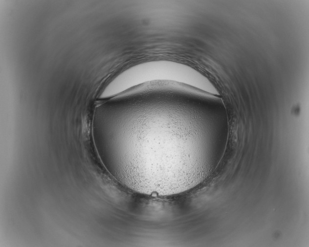 X0000089880420200707262213