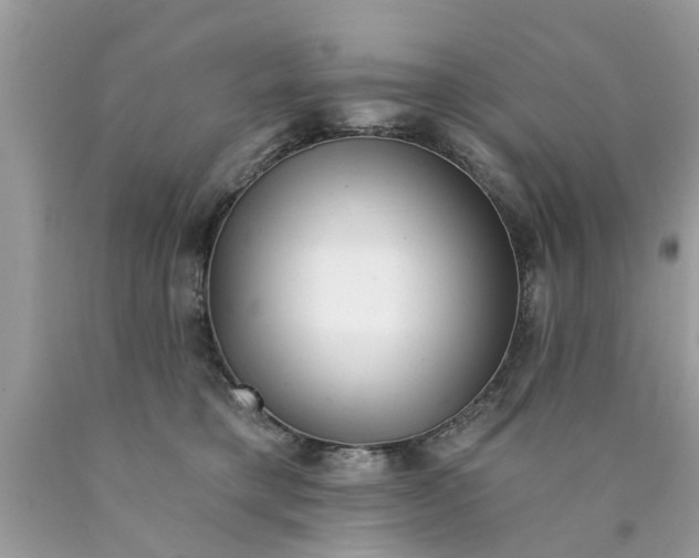 X0000089880421200707262213