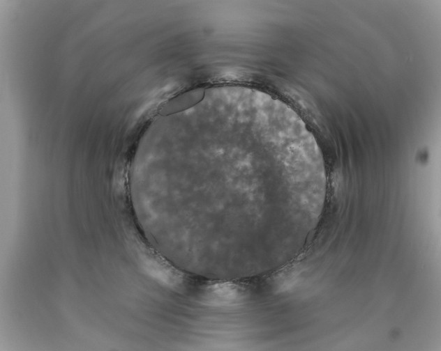 X0000089880423200707262213